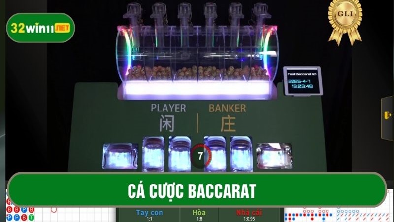 Cá cược baccarat
